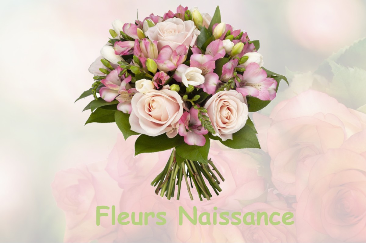 fleurs naissance MARQUEFAVE