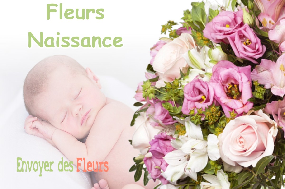 lIVRAISON FLEURS NAISSANCE à MARQUEFAVE